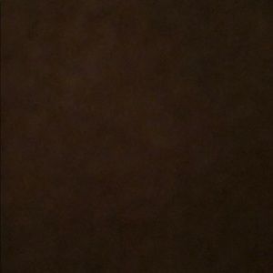 Meet your Posher, Warriors